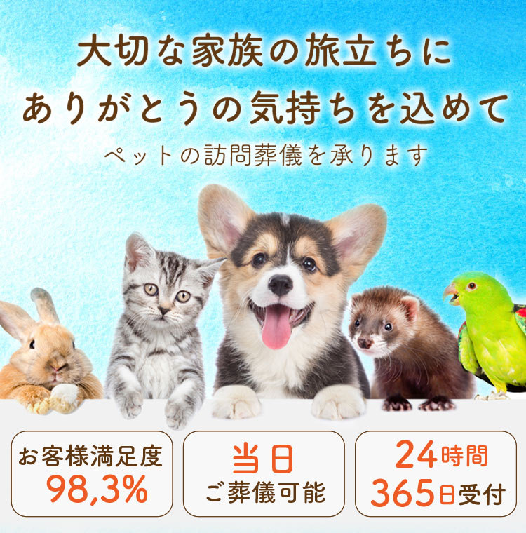 スマートフォン用の画像