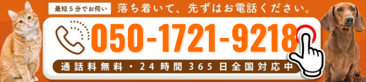 パソコン用の画像