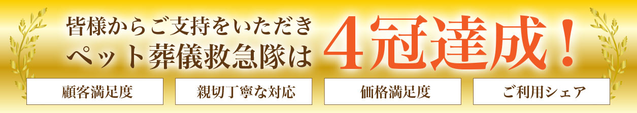 パソコン用の画像