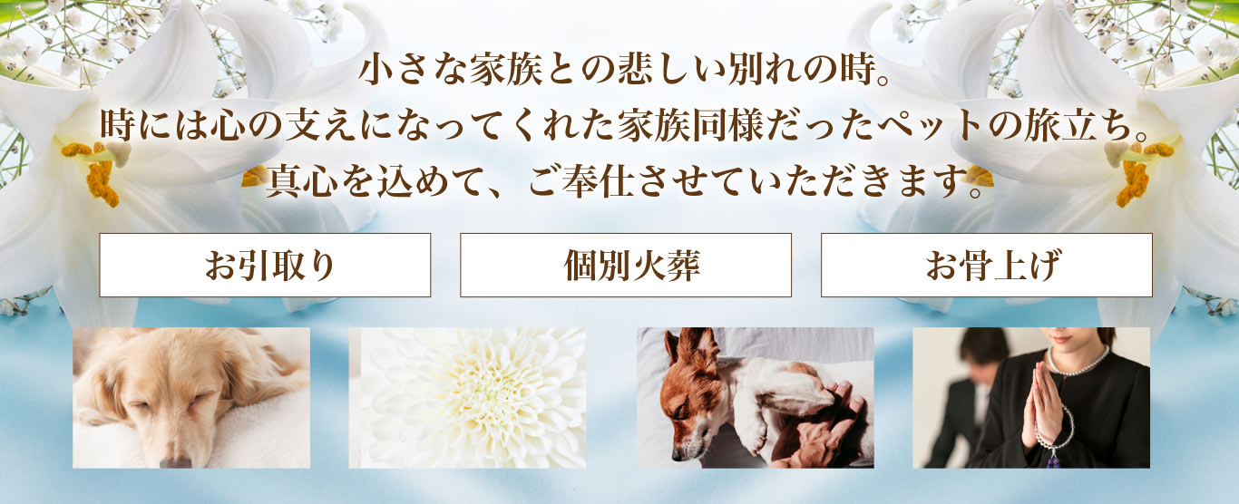 パソコン用の画像