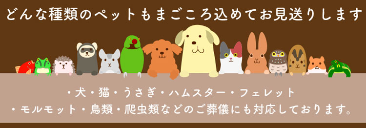 スマートフォン用の画像