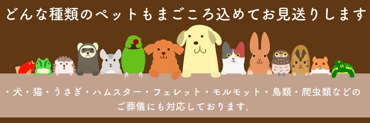 パソコン用の画像