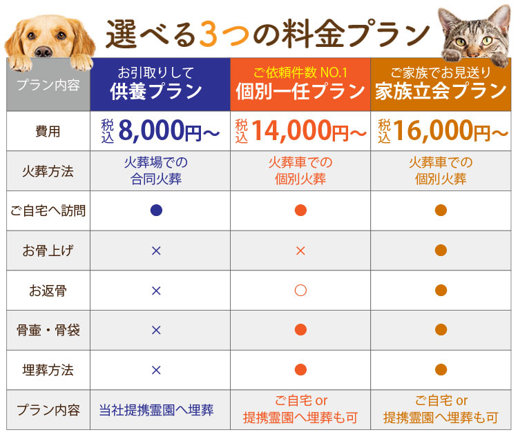 スマートフォン用の画像